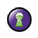 Web Security